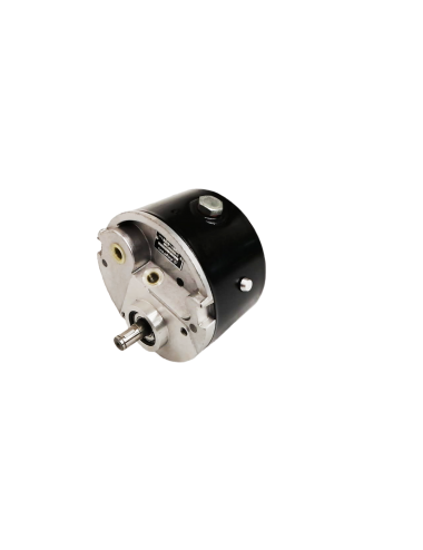 BOMBA HIDRAULICA MF65-MF165 MOTOR 4.203